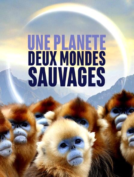 Une planète, deux mondes sauvages