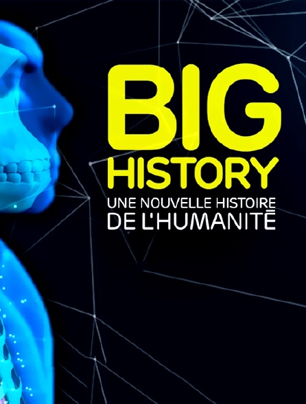Big history : une nouvelle histoire de l'humanité