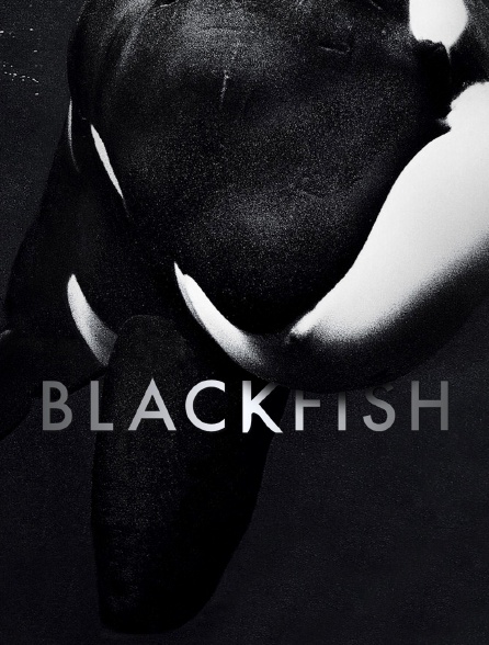 Blackfish : L'orque tueuse