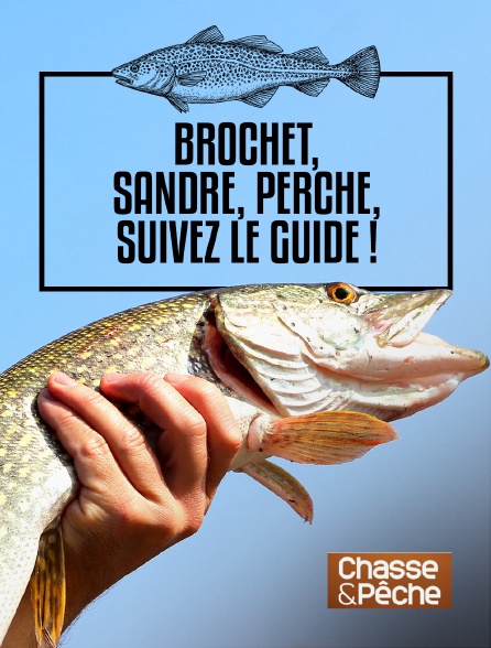 Chasse et pêche - Brochet, sandre, perche, suivez le guide !