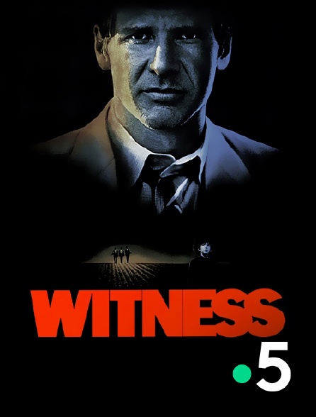 France 5 - Witness