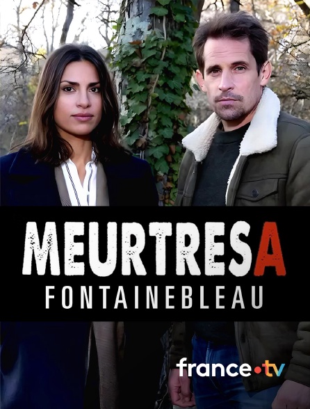 france.tv - Meurtres à Fontainebleau en replay