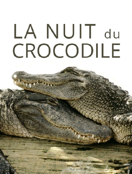 La nuit du crocodile