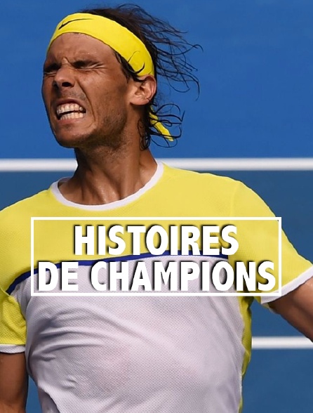 Histoires de champions