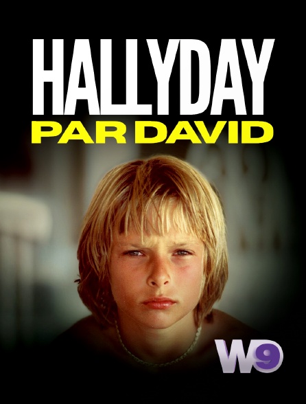 W9 - Hallyday par David