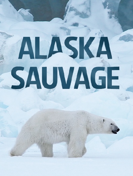 Alaska sauvage