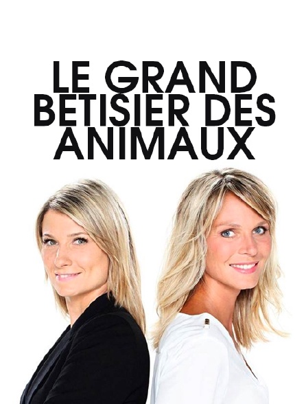 Le grand bêtisier des animaux