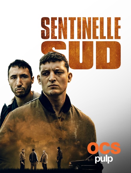 OCS Pulp - Sentinelle sud