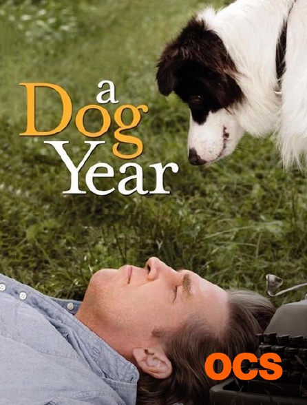 OCS - A Dog Year