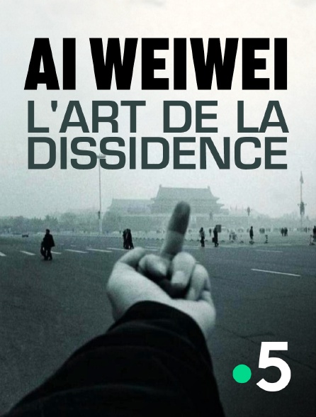 France 5 - Ai Weiwei, l'art de la dissidence