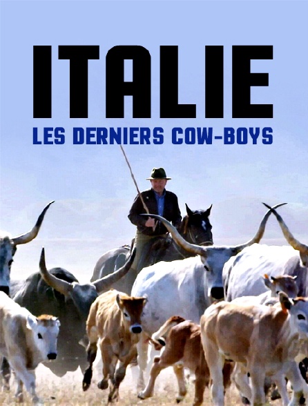 Italie, les derniers cow-boys