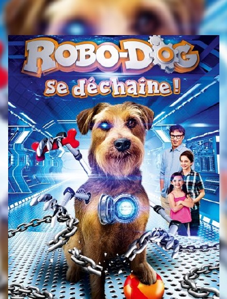 Robodog se déchaîne !