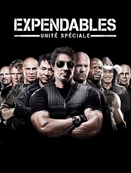 Expendables : Unité spéciale