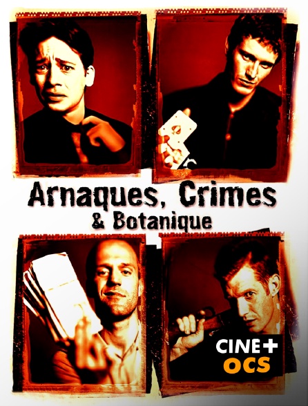 CINÉ Cinéma - Arnaques, crimes et botanique