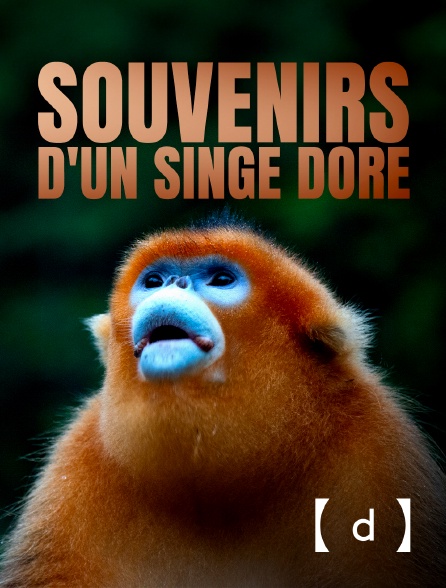 France TV Docs - Souvenirs d'un singe doré