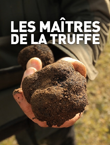 Les maîtres de la truffe