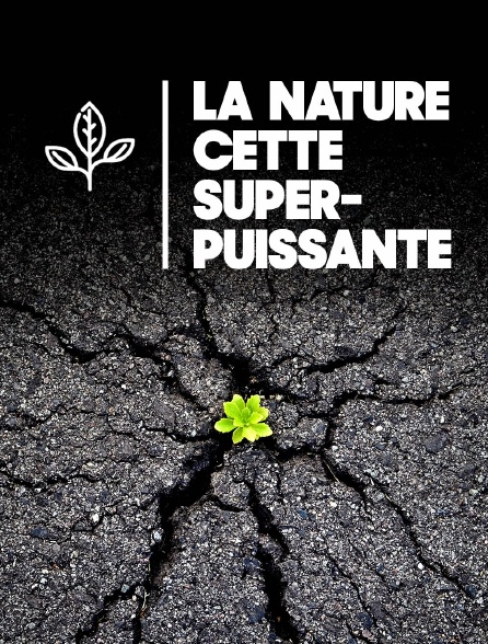 La nature, cette superpuissance