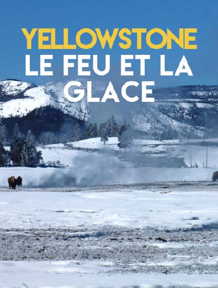 Yellowstone, le feu et la glace