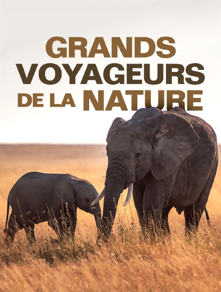 Grands voyageurs de la nature