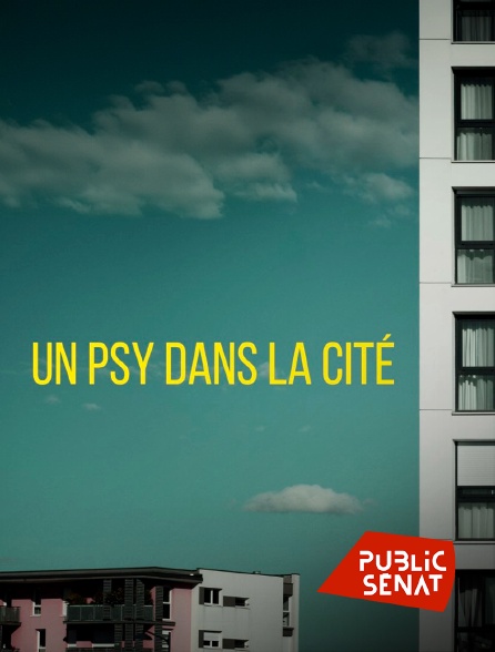 Public Sénat - Un psy dans la cité