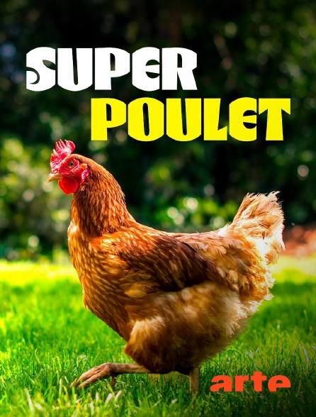 Arte - Super poulet