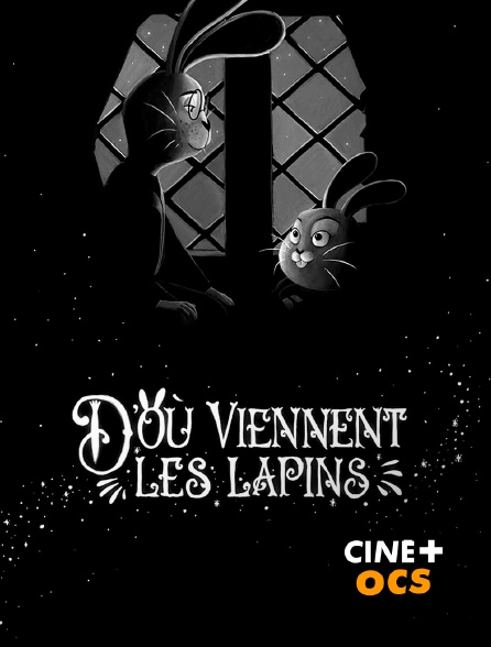 CINÉ Cinéma - D'où viennent les lapins en replay