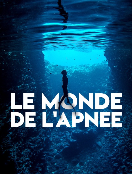 Le monde de l'apnée