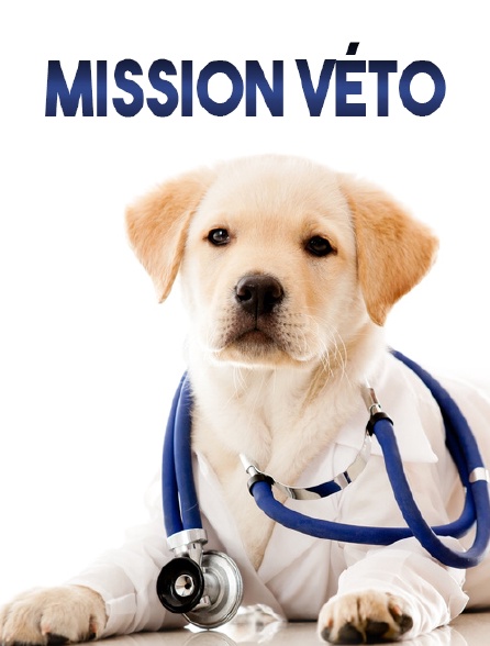 Mission véto