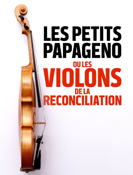 Les petits Papageno ou les violons de la réconciliation