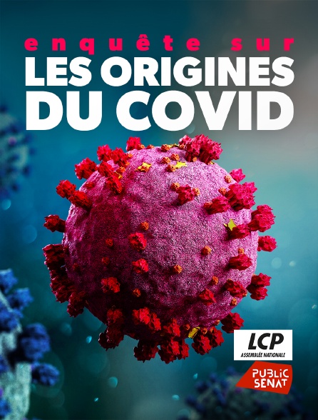 LCP Public Sénat - Enquête sur les origines du COVID