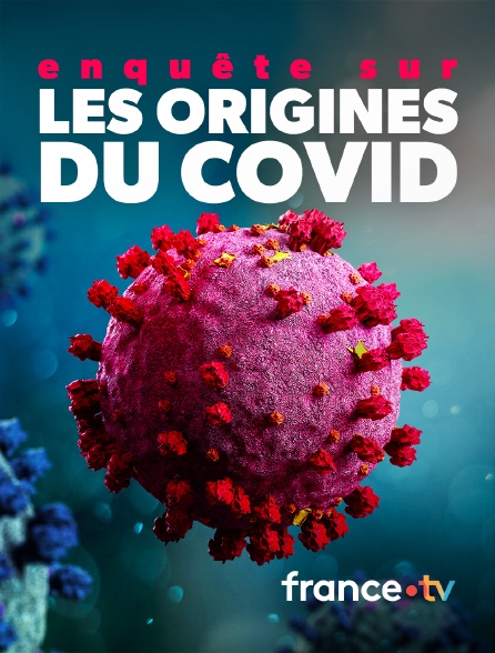 france.tv - Enquête sur les origines du COVID