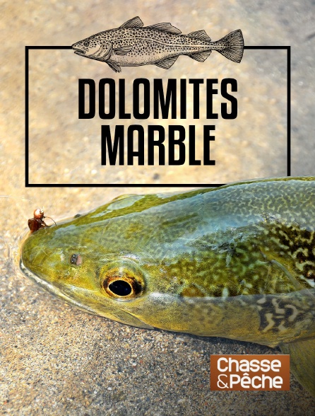 Chasse et pêche - Dolomites marble