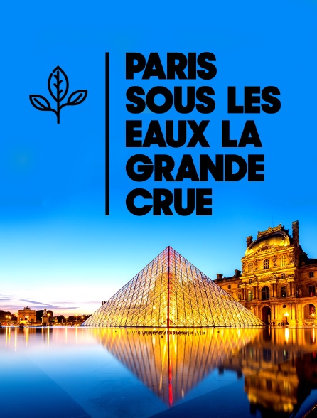 Paris sous les eaux : la grande crue