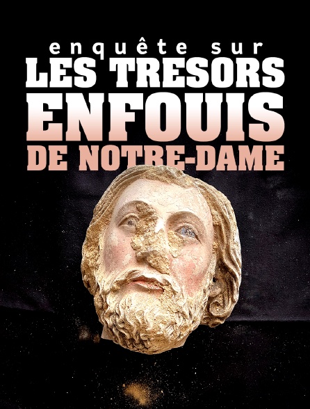 Enquête sur les trésors enfouis de Notre-Dame