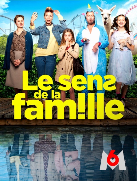 M6 - Le sens de la famille