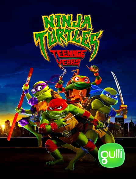 Gulli - Ninja Turtles : Teenage Years
