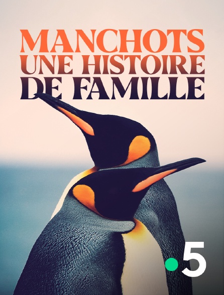 France 5 - Manchots, une histoire de famille