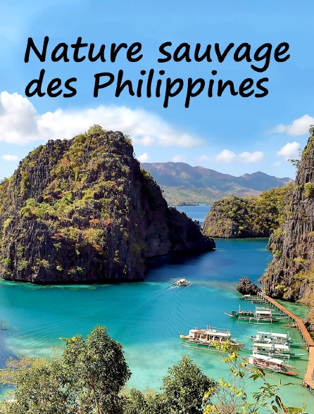 Nature sauvage des Philippines