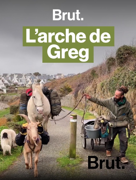Brut - Depuis 15 mois, il marche avec ses animaux à travers la France en replay