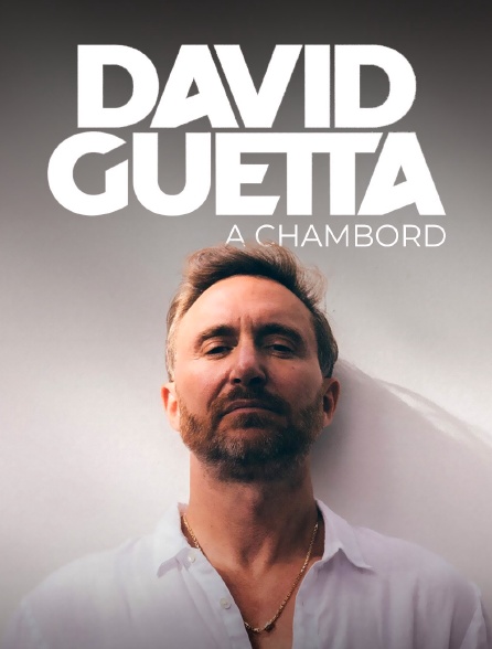 David Guetta, live à Chambord