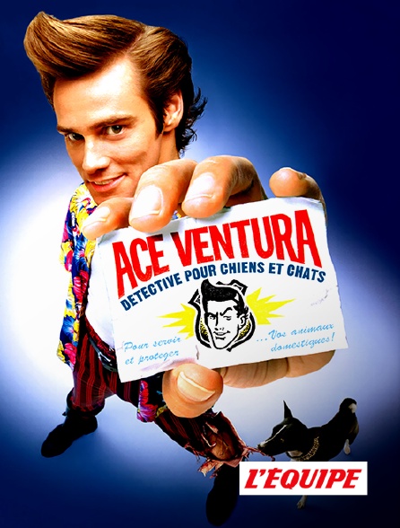 L'Equipe - Ace Ventura, détective pour chiens et chats