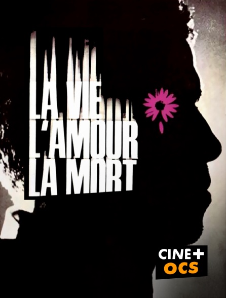 CINÉ Cinéma - La vie, l'amour, la mort