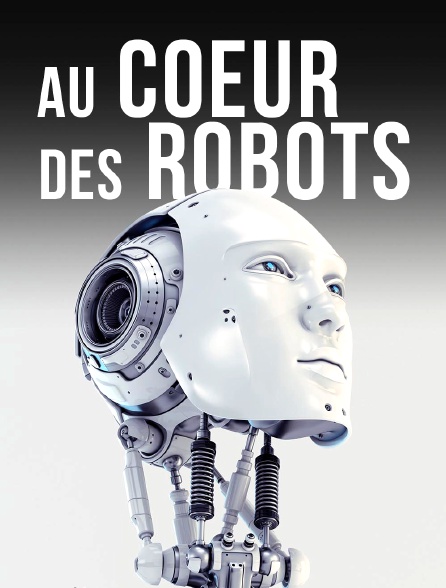 Au coeur des robots