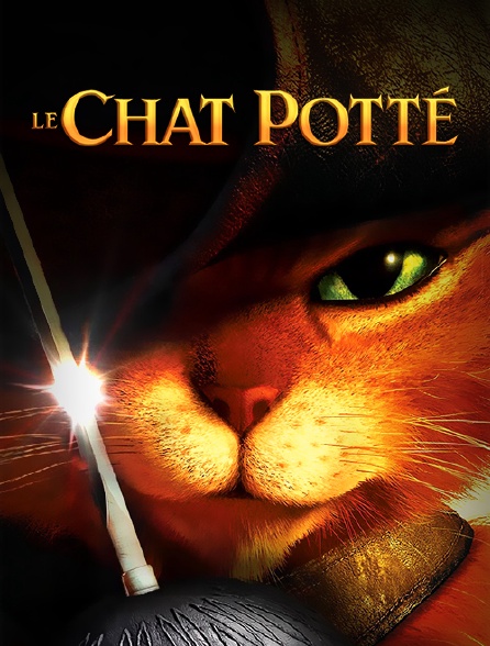 Le Chat Potte En Streaming Molotov Tv