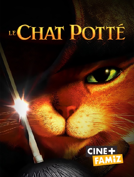 Le Chat Potte En Streaming Replay Sur Cine Famiz Molotov Tv