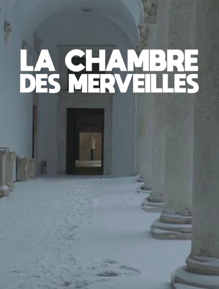 La chambre des merveilles streaming: watch online