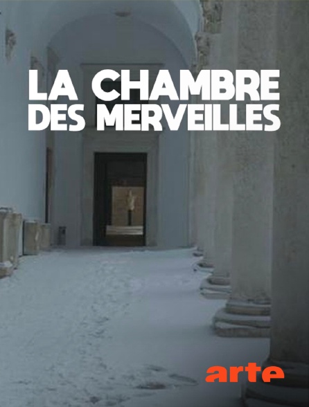 Arte - La chambre des merveilles