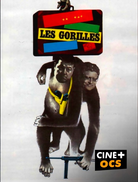 CINÉ Cinéma - Les gorilles