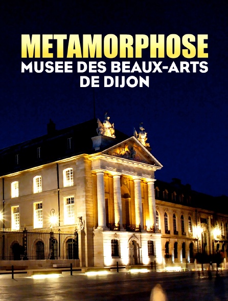 Métamorphose : Musée des Beaux-Arts de Dijon