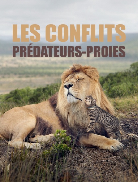 Les conflits prédateurs-proies